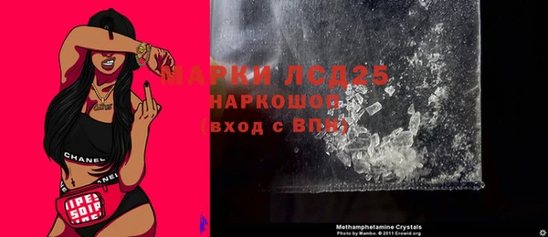 шишки Арсеньев