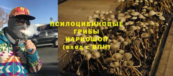 шишки Арсеньев