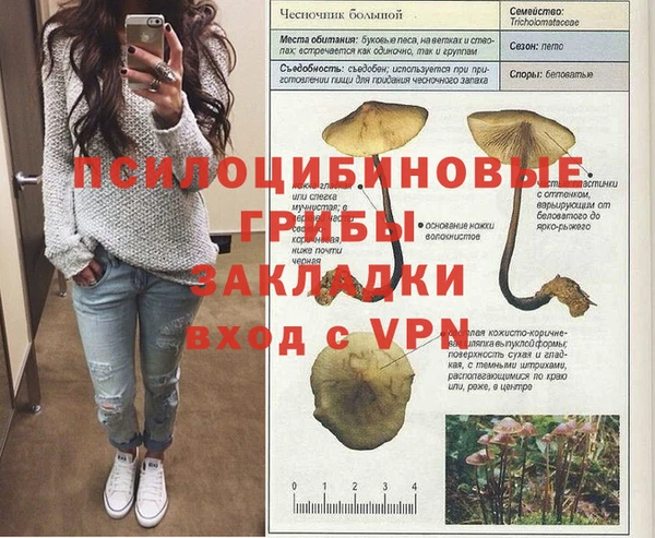 молекула духа Армянск