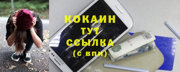 шишки Арсеньев