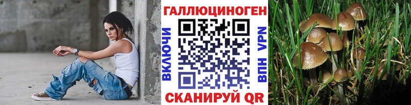 Галлюциногенные грибы Psilocybe  цена наркотик  Исилькуль 